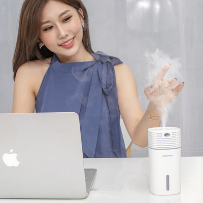 H2o 500ml Ultrasonic Air Humidifier Tabletop Led Light Aroma Diffuser USB Power