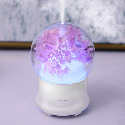Portable Ultrasonic Aroma Oil Diffuser Kapasitas 100ml Cool Mist Air Humidifier