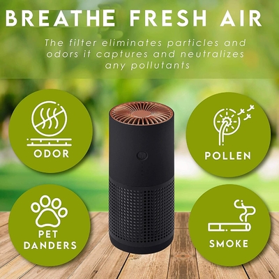 H13 H12 HEPA Negative Ion Portable Air Purifier Untuk Alergi Serbuk Sari Asap