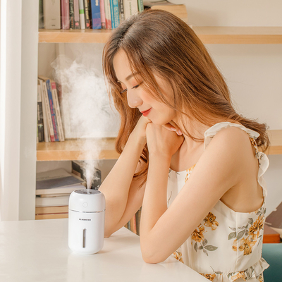 USB Home Ultrasonic Aroma Diffuser Led Light Portable White Air Humidifier