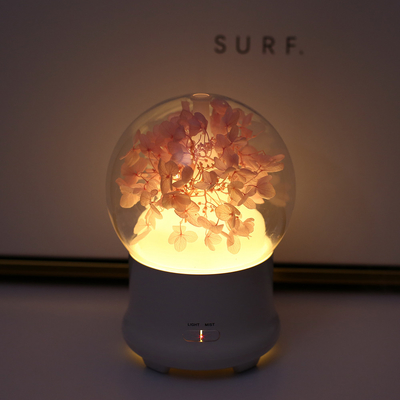 Slim 20ml/H Aroma Oil Diffuser 100ml Cool Mist Large Room Office