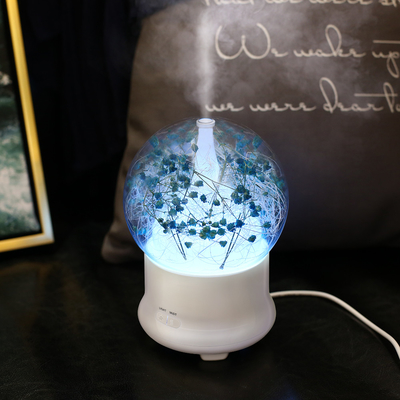Portable Ultrasonic Aroma Oil Diffuser Kapasitas 100ml Cool Mist Air Humidifier